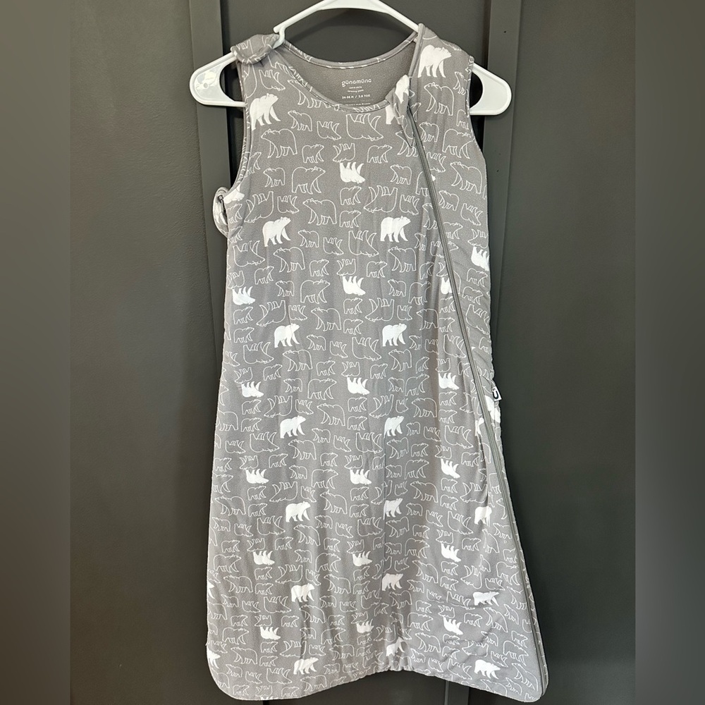 Charming Gray Bear Kids Sleep Sack